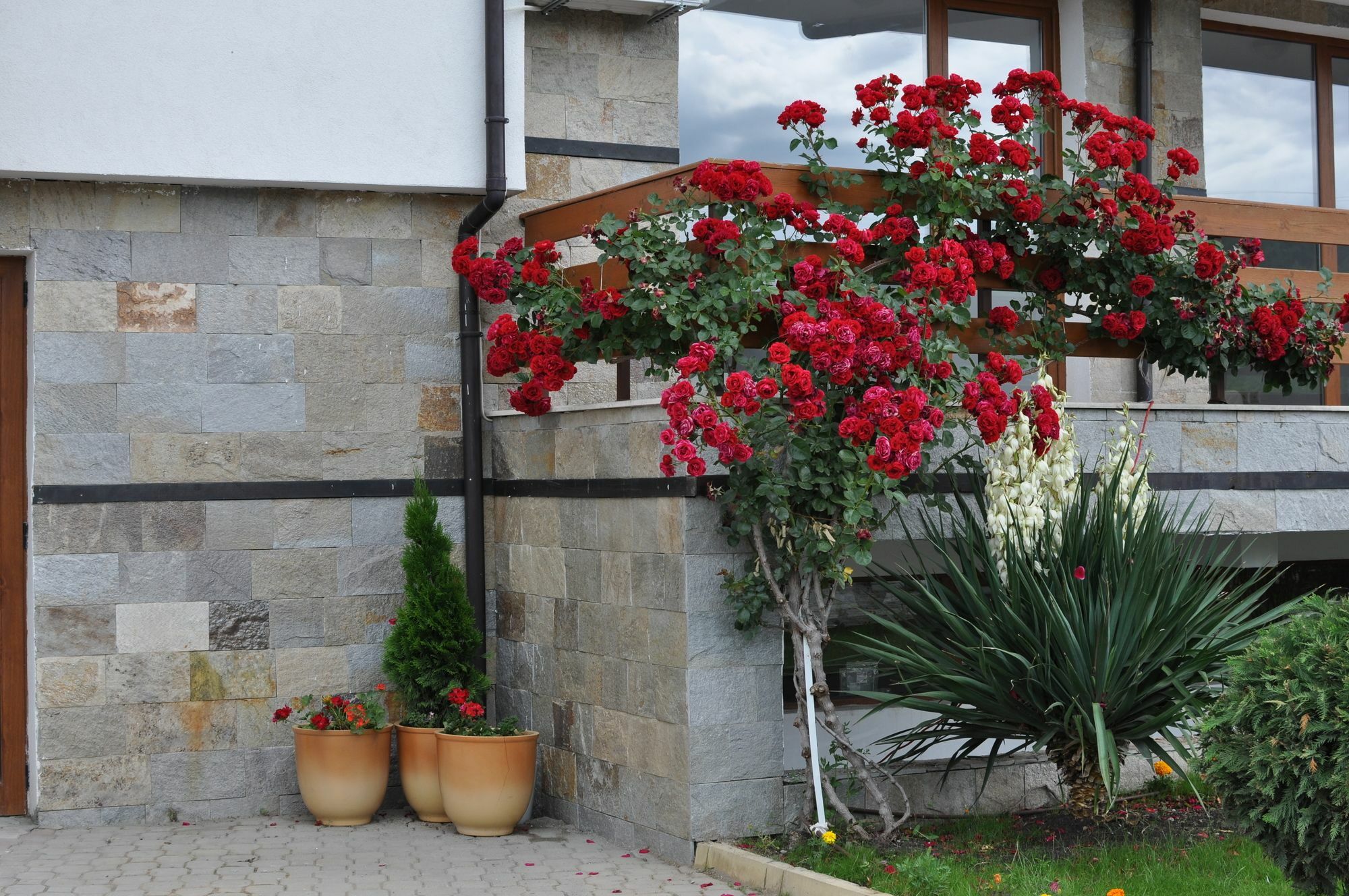 Gardenia Hills Hotel Sluneční pobřeží Exteriér fotografie